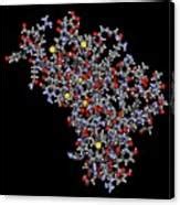 Human Prion Protein Molecule Photograph By Molekuul Science Photo