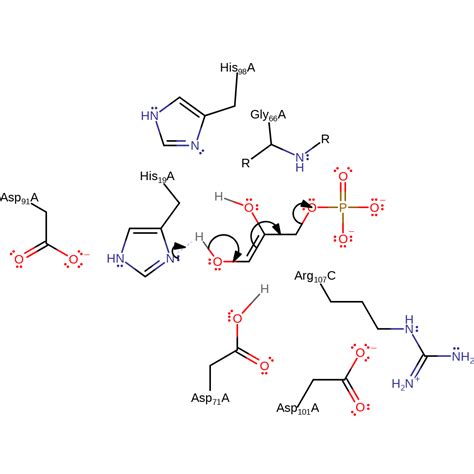 M Csa Mechanism And Catalytic Site Atlas