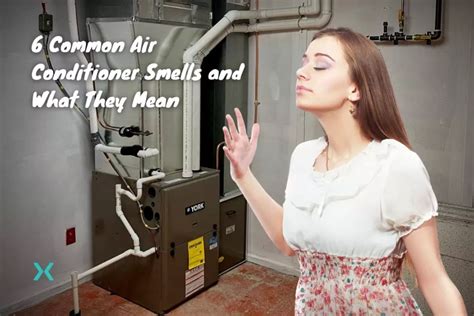 6 Common Air Conditioner Smells And What They Mean Phyxter Home Services