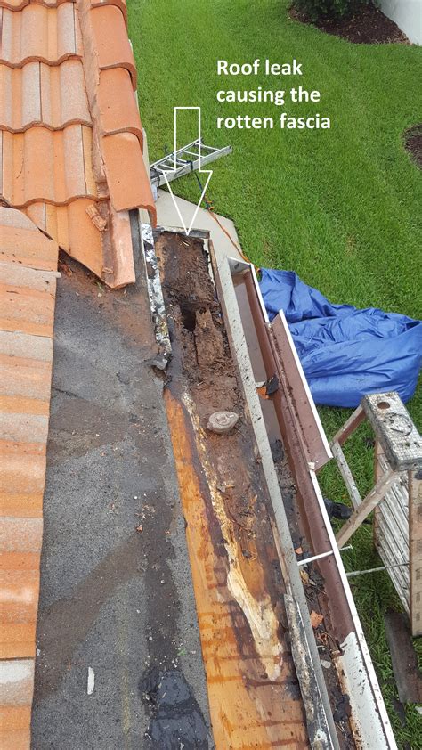 Rotten Fascia and Soffit Repair - Roofing Contractor in Boca Raton