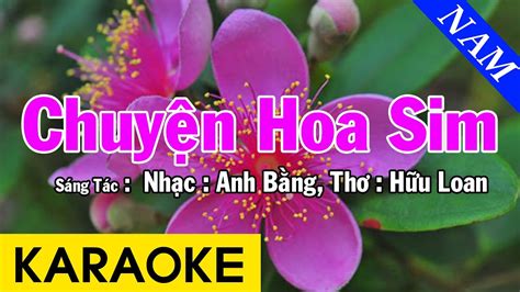 Karaoke Chuy N Hoa Sim Tone Nam Nh C S Ng Beat Chu N Youtube