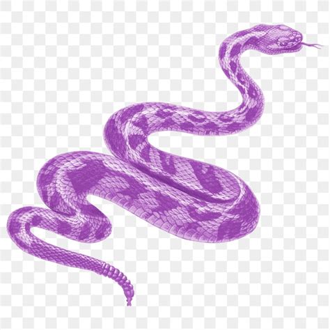 Purple Snake Clipart