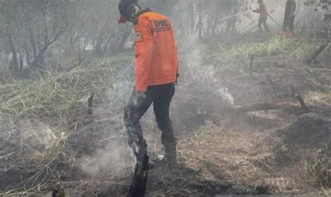 Ada 2 168 Titik Api Karhutla Yang Tersebar Di Kalimantan Selatan