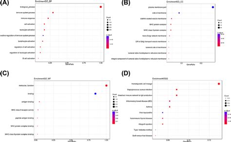 The Dotplot Of GO Annotation And KEGG Enrichment The Y Axis Is The GO