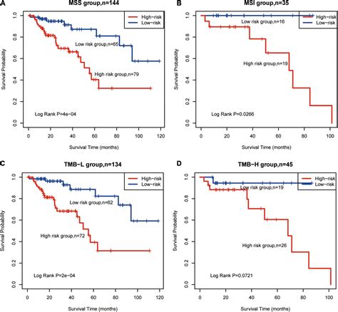 Frontiers Identification Of A Novel Immune Related CpG Methylation