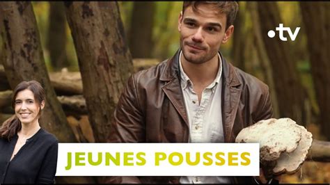 Passion Champignons Jeunes Pousses Silence A Pousse Janvier