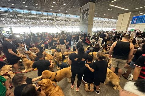 Caso Joca grupo faz protesto no Aeroporto de Brasília neste domingo