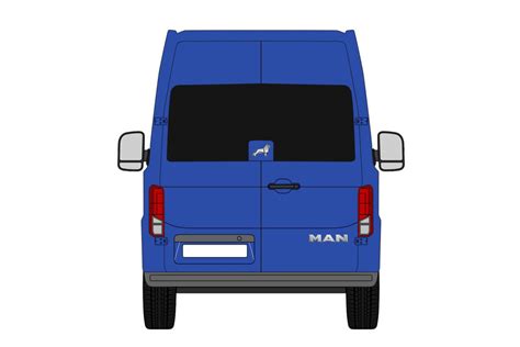 Man Tge 17 Back Door Windows Pair In Privacy Tint Vanpimps