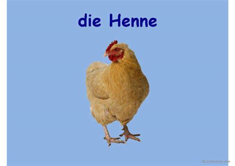 Tiere Deutsch Daf Powerpoints