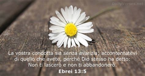 Versetti Della Bibbia Sul Denaro Dailyverses Net