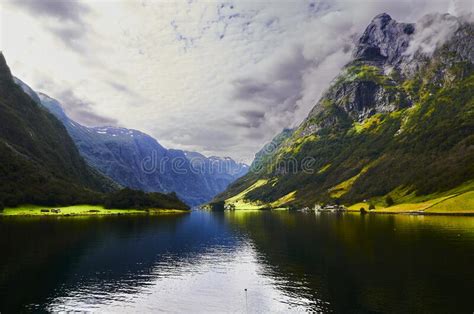 Green Grass and Mountains at the Fiord Stock Photo - Image of landscape ...