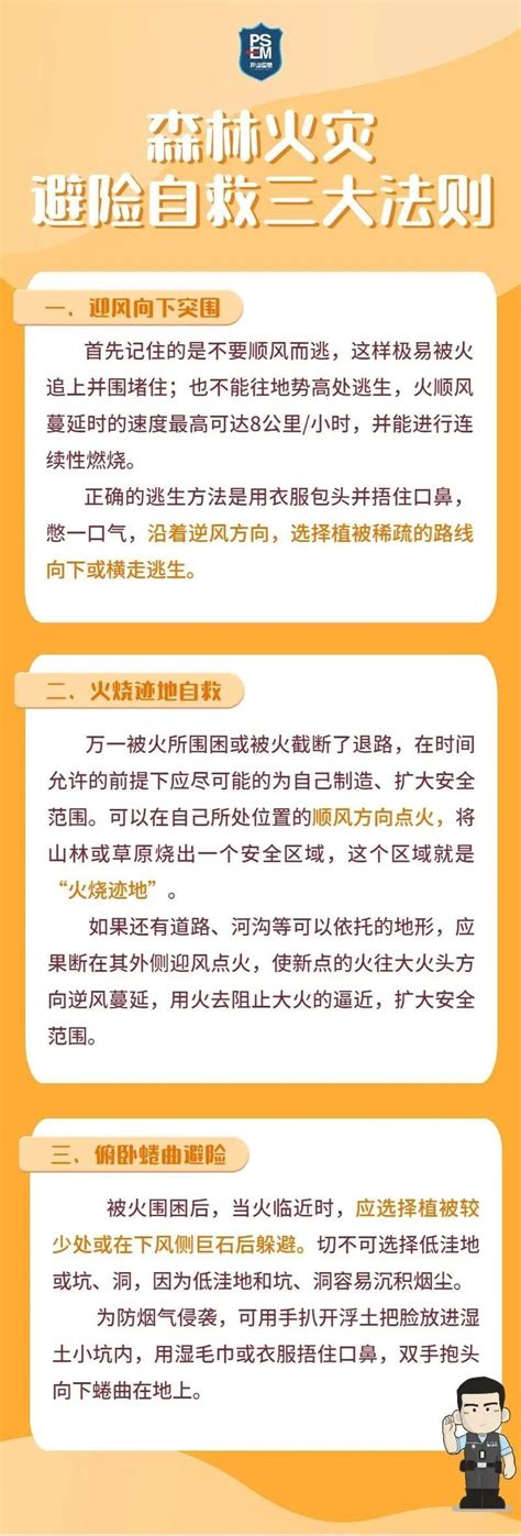 安全课堂 森林火险黄色预警正生效，哪些事情不能做？