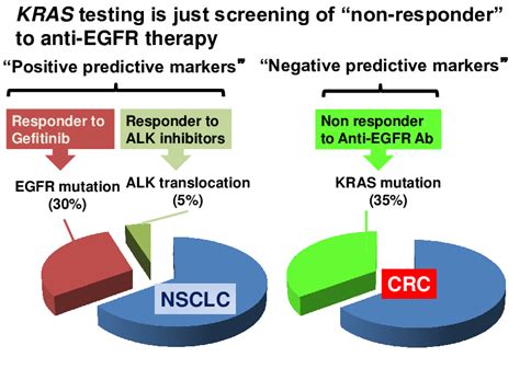 Treatment For Kras Mutation In Lung Cancer - CancerWalls