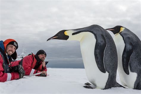 10 Photos that Will Convince You to Visit Antarctica • TravelBreak