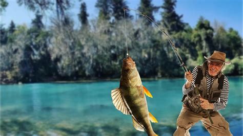 El Escondido Bosque De Las Truchas En Huasca Pesca Tu Propia Comida