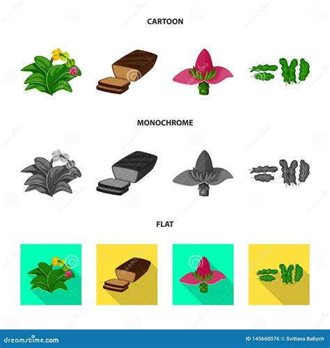 Conception De Vecteur De Logo Naturel Et V G Tarien Placez De Naturel