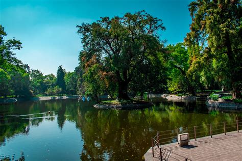 México City - Lake of Chapultepec on Behance