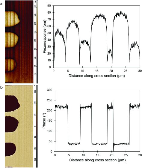 A Piezoresponse Amplitude Image And Cross Section And B