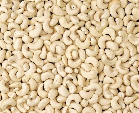 W210 Cashew Nut Kernel At Rs 1300 Kg Jhotwara Jaipur ID 23488620030