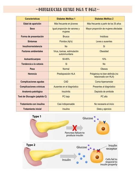 Diferencias De Diabetes Tipo Y Gntc Udocz