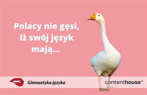 Polacy nie gęsi iż swój język mają Content Standard