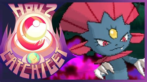 How To Evolve Sneasel Into Weavile In Pokemon Sun And Moon How To Get Razor Claw Youtube