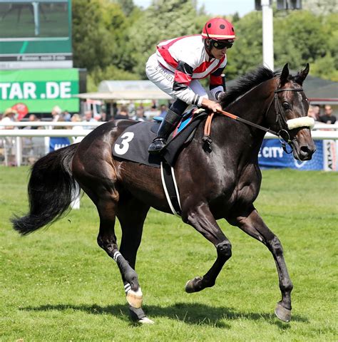 Parlan (GER) 2014 | Turf-Times Deutschland