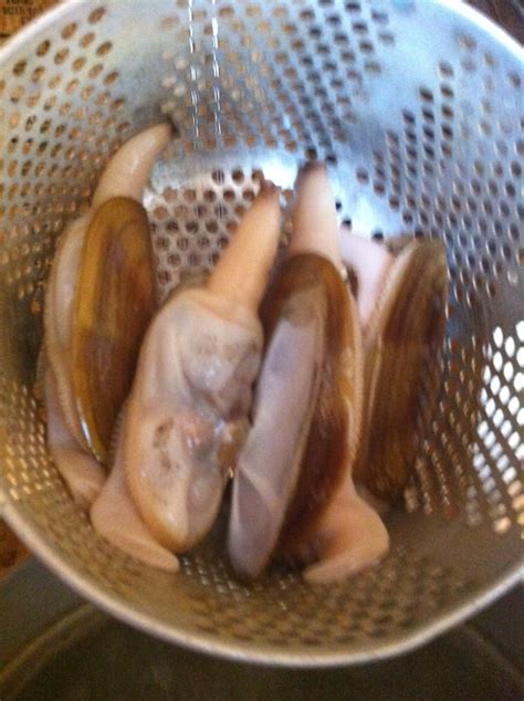 How To Clean A Razor Clam