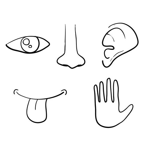 Icon Set Of Five Human Senses Is Eye Nose Ear Hand Mouth With