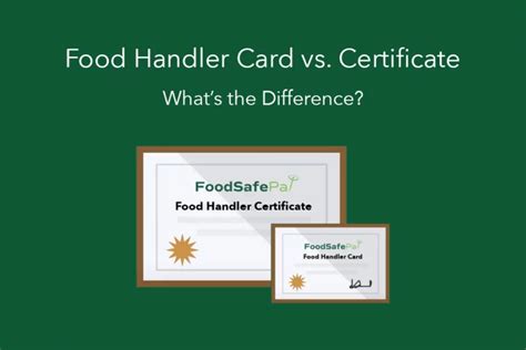 Lose Your Food Handlers Card Here S What To Do Foodsafepal