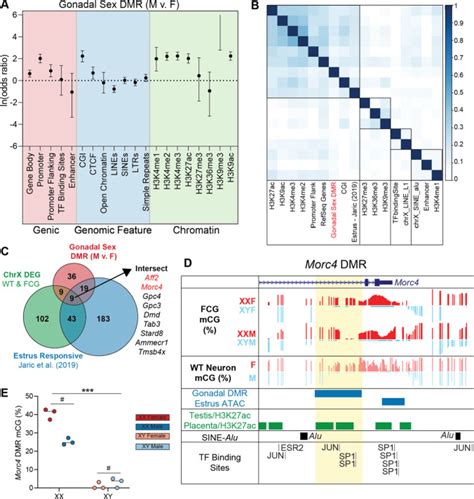 Differential Regulation Of Mouse Hippocampal Gene Expression Sex Differences By Chromosomal
