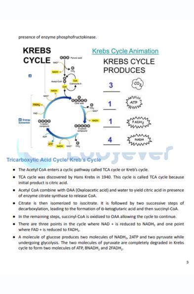 Cbse Class Biology Respiration In Plants Notes