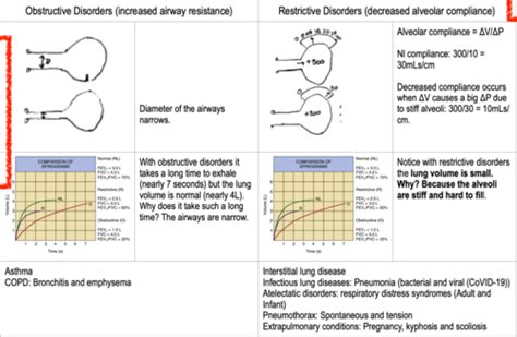 PATHO WEEK 5 Respiratory Disorders Flashcards Quizlet