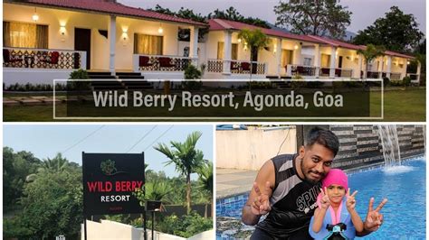 Wild Berry Resort Agonda Goa Resort Tour South Goa Best Budget