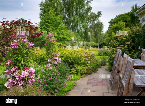 View Of Garden Patio With Herbaceous Borders Featuring Clematis