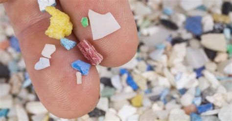 Cosa Sono Le Microplastiche Blog Greenuso