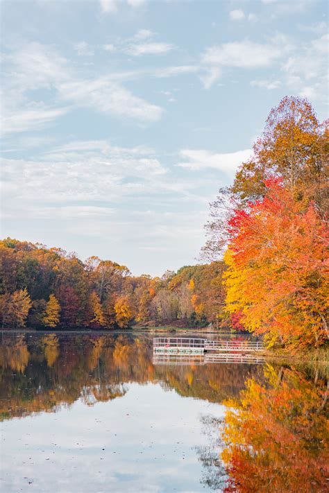 5 Places to See Beautiful Fall Foliage in Washington DC 2021