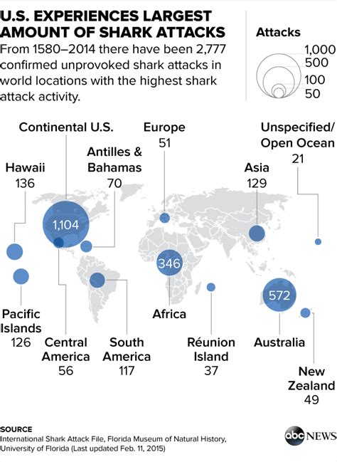 Everything You Need to Know About Shark Attacks as Told by Graphs - ABC ...