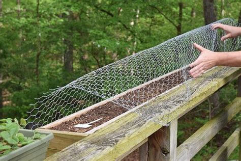 How To Keep Squirrels Out Of Deck Rail Planters