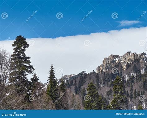 Rocky Mountains. Mountain Range Stock Photo - Image of scenic, hill ...