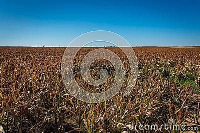 Midwest Farming Stock Photo - Image: 62465738