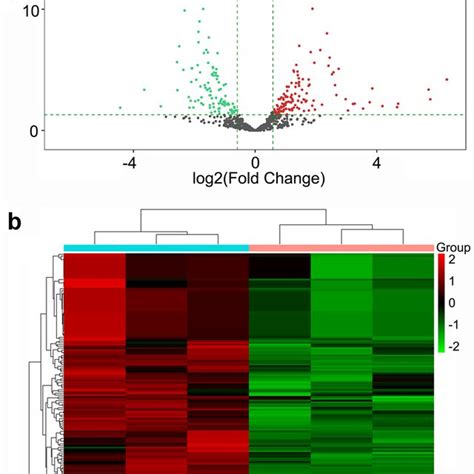 Microrna Mirna Expression Profile A Volcano Plot For Differentially