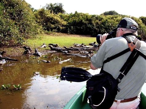 Pacote Pantanal Barra Mansa 4 Noites Eco Adventures Travel