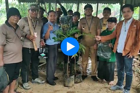 PT IKPP Tangerang Lakukan Tanam Pohon Di Bantaran Sungai Cisadane