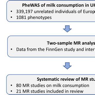 Study Design Overview Mr Mendelian Randomization Phewas