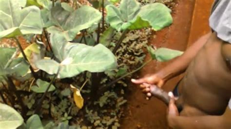 Risky Encounter Almost Busted Masturbating Outside Pornhub Gay