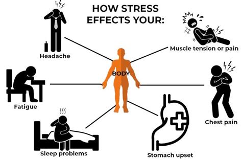 Stress Management And The Bodys Health Chiropractic Scientist