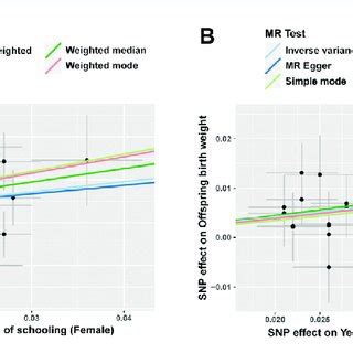 The Causal Effect Of Educational Attainment On Offspring Birth Weight