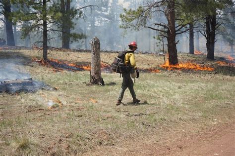 Crews Begin Final Day Of Ignitions On Prescribed Burn South Of Flagstaff