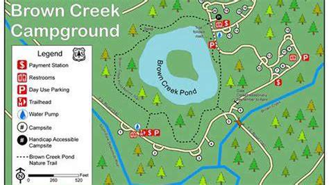 Brown Creek Campground Olympic National Forest